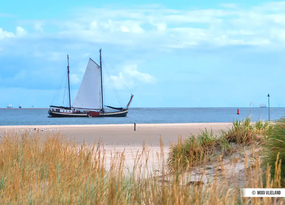Segeln Vlieland