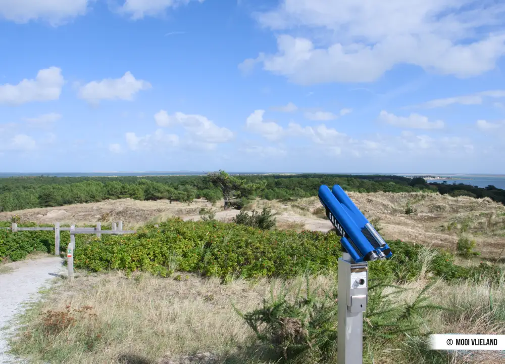 Natuur op Vlieland