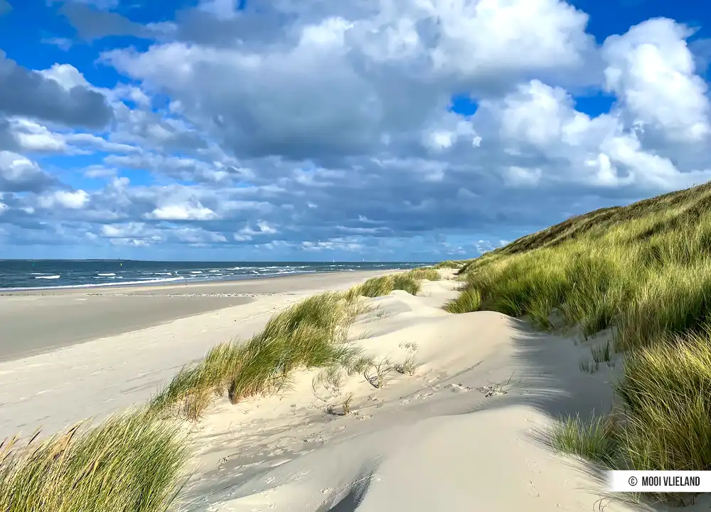Strand Vlieland
