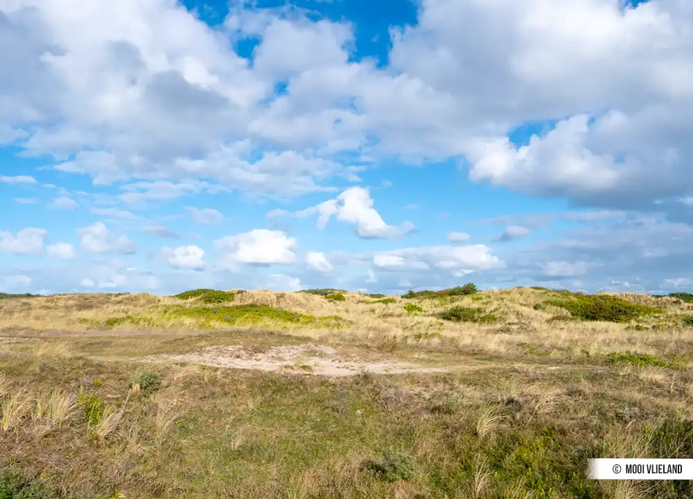 Duinen Vlieland