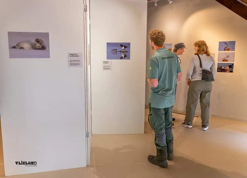 Expositie in de Lepelaar op Vlieland