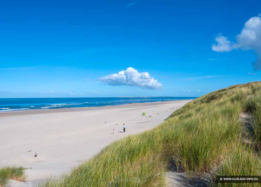 Duinen, strand en de Noordzee op Vlieland